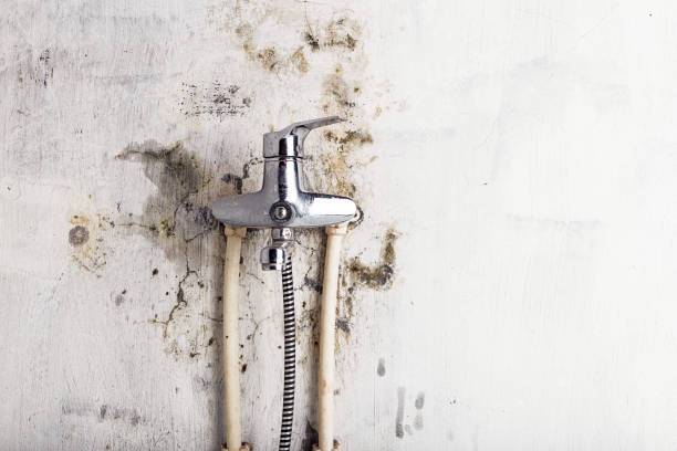 Best Water Damage Restoration  in Olney, IL