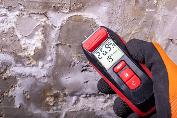Best Mold Testing  in Olney, IL