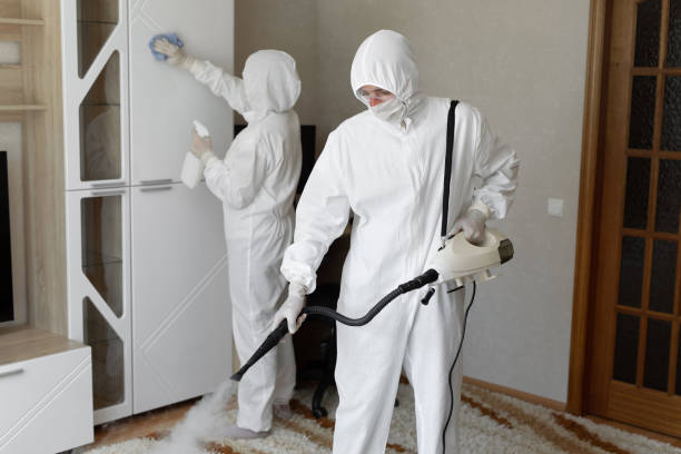 Best Emergency Mold Removal  in Olney, IL
