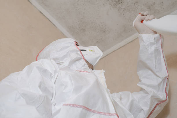 Best Mold Cleaning Services  in Olney, IL