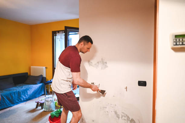 Best Local Mold Removal Service  in Olney, IL